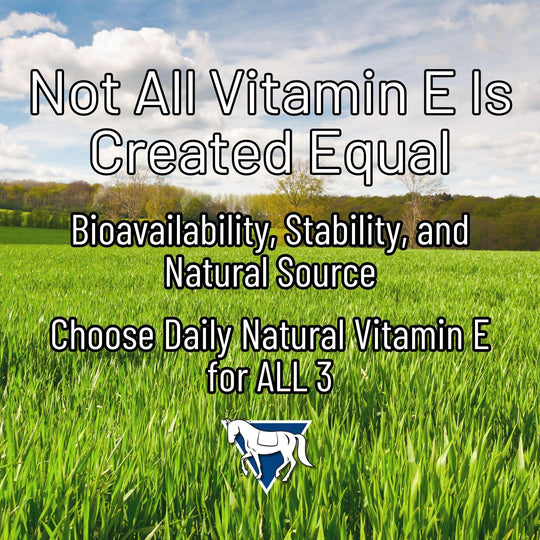 Daily Natural Vitamin E - High Bioavailability Antioxidant Support