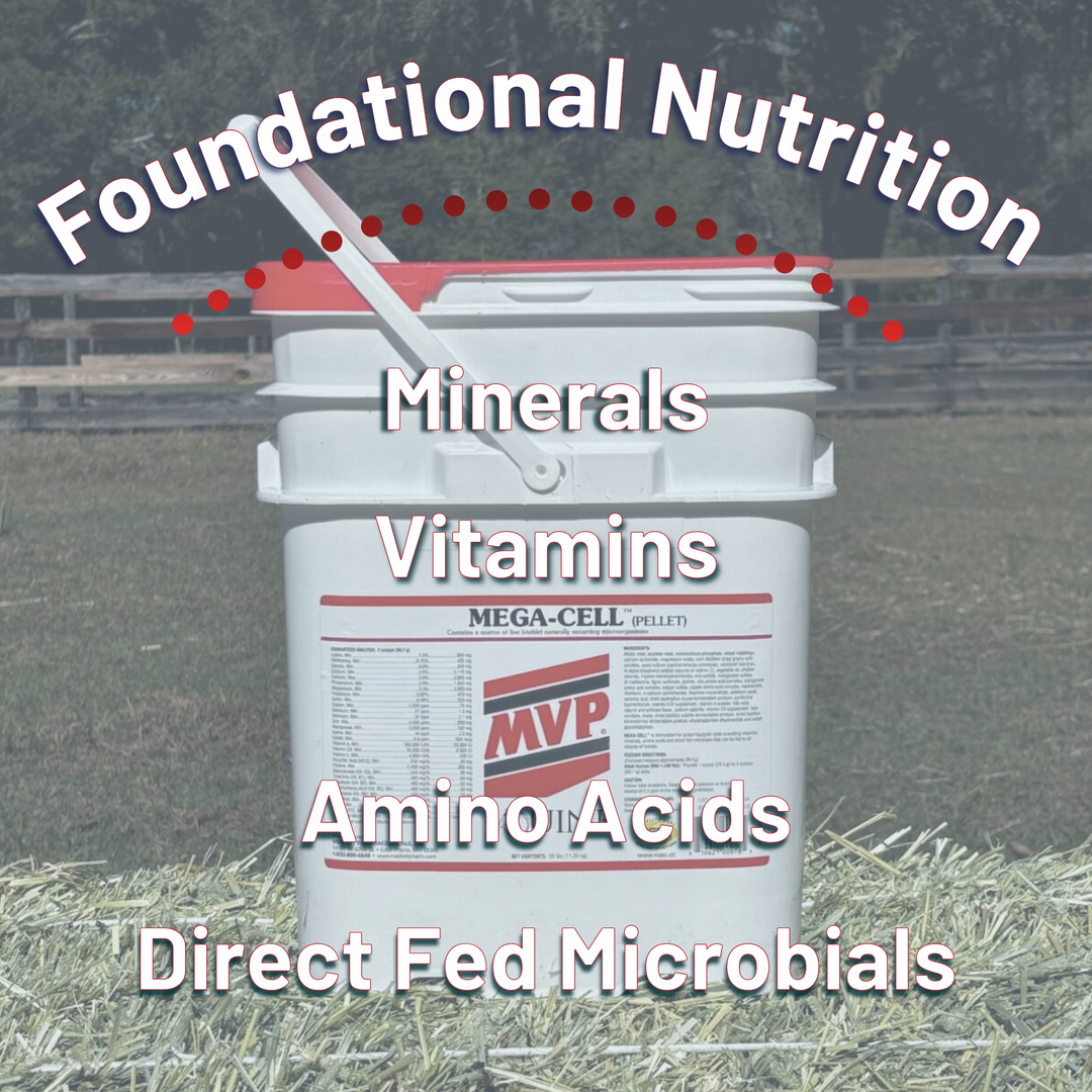 Foundation Support Bundle