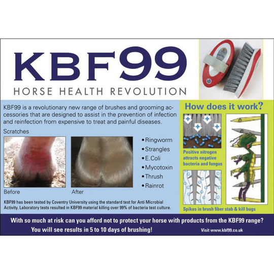 KBF99 Bucket Brush - Tackle Corners &amp; Tough Grime