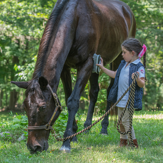 Build a Daily Bonding Kit – Antimicrobial Grooming Brushes