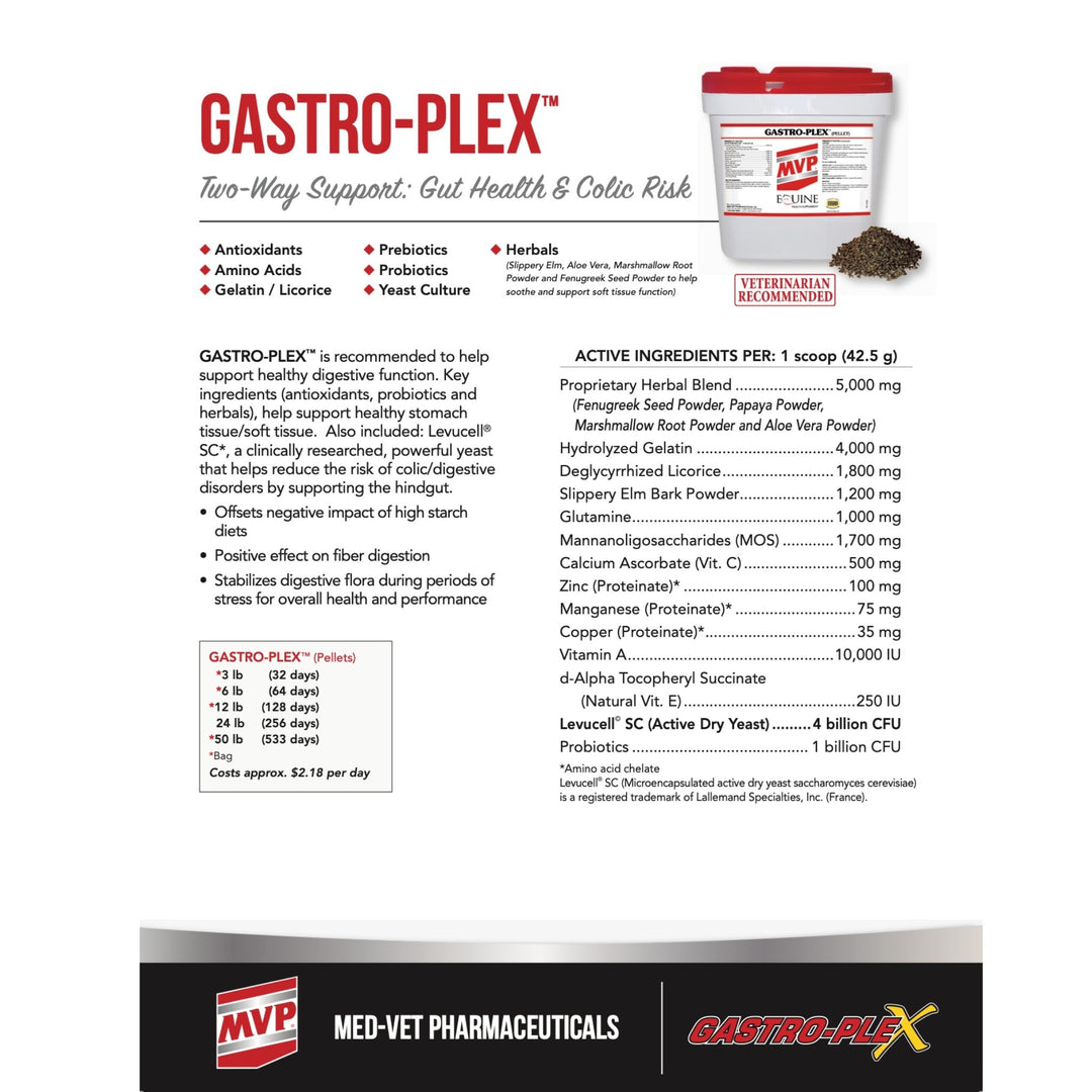 MVP Gastro-Plex (Pellet & Paste) - Digestive Health Support for Horses