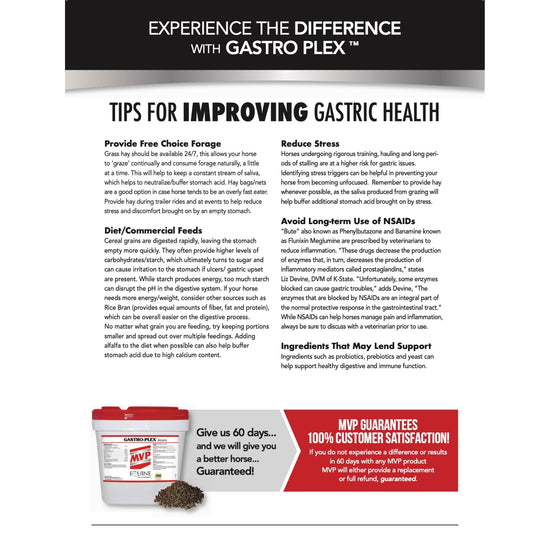 MVP Gastro-Plex (Pellet & Paste) - Digestive Health Support for Horses