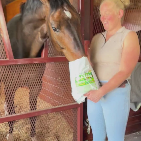 Grazers Nutri-Treats - Forage-Based, Healthy Horse Treats