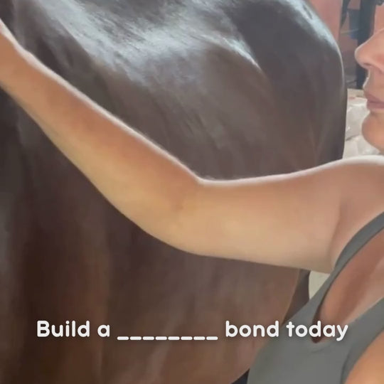 Build a Daily Bonding Kit – Antimicrobial Grooming Brushes