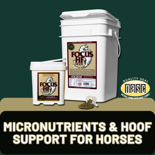 SOURCE Focus HF (Hoof) - Kelp Horse Supplement (3.5 lbs and 25 lbs, pellet) with text: "Micronutrients & Hoof Support for Horses" and NASC quality seal