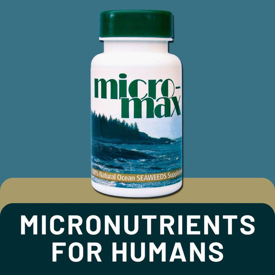 Micro-Max Daily Trace Mineral Supplement by SOURCE® | Whole Food Seaweed-Based Nutrition