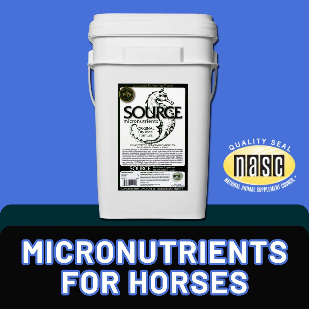 SOURCE Original (Powder Concentrate) with text "Micronutrients for horses" and NASC quality seal