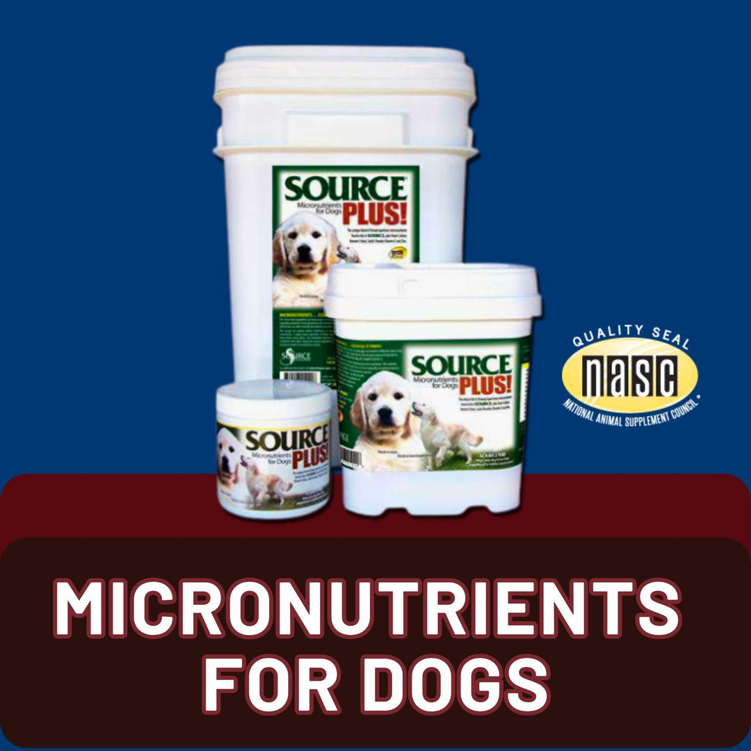 SOURCE Plus for Dogs Seaweed-Based Micronutrients for Skin, Coat & Digestion with text: "Micronutrients for Dogs" and NASC quality seal