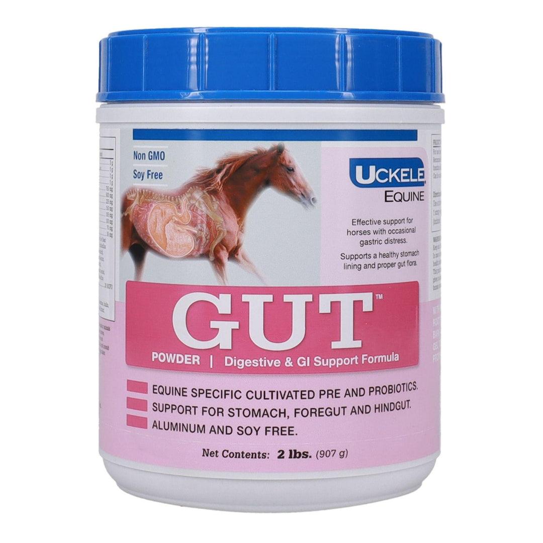 2llb container of Uckele Gut Powder for horses, A fine, easy-to-mix formula designed for consistent, long-term digestive support. Ideal for daily feeding to help maintain gut balance.