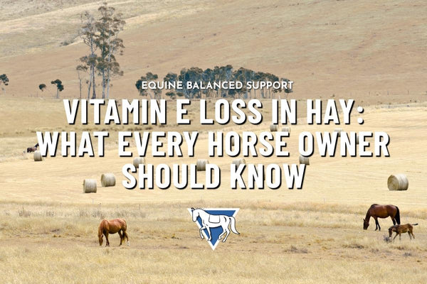 Vitamin E Loss in Hay
