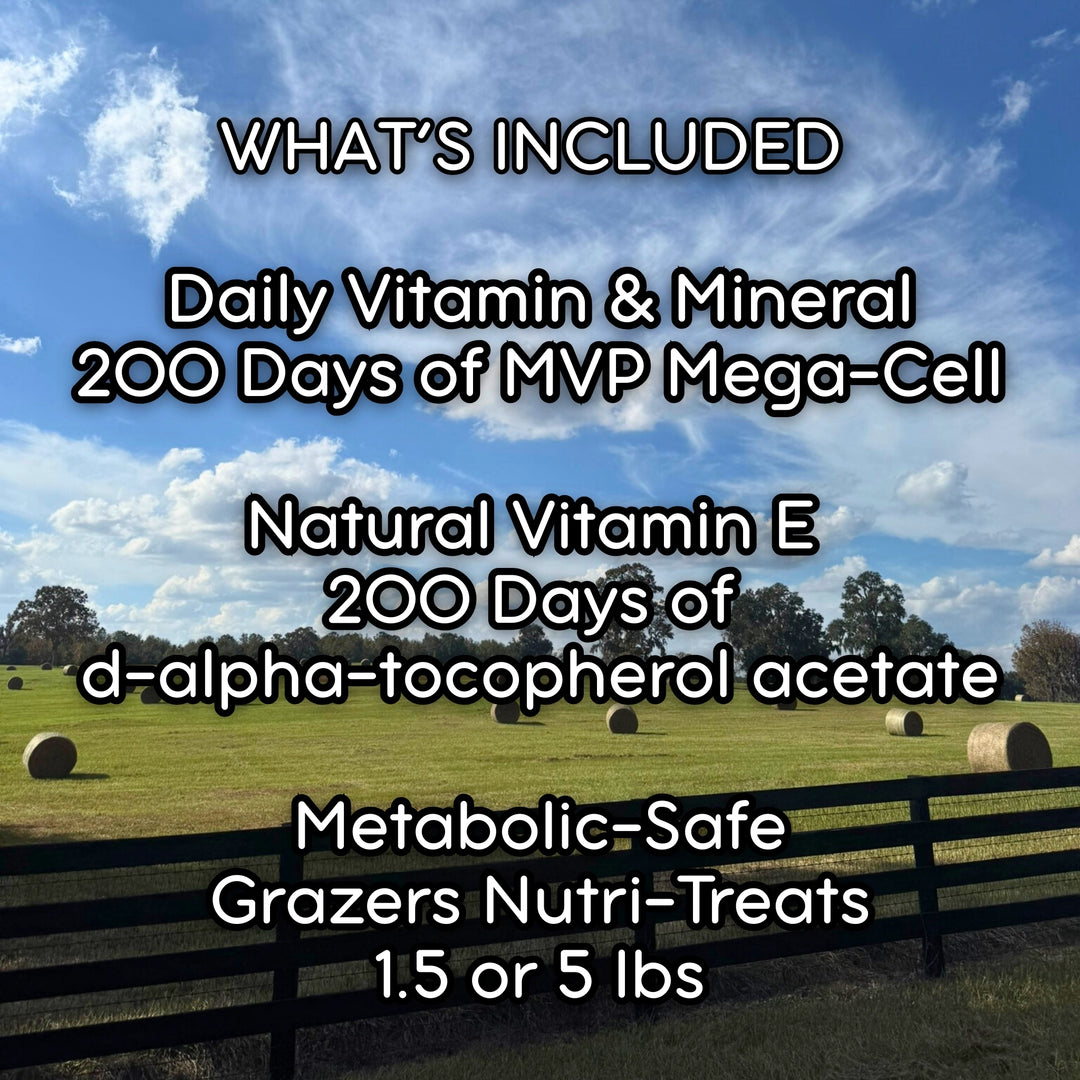 Foundation Support Bundle